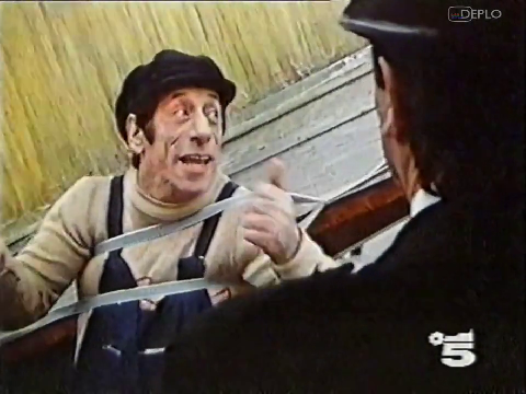 Cinghiale, 1983